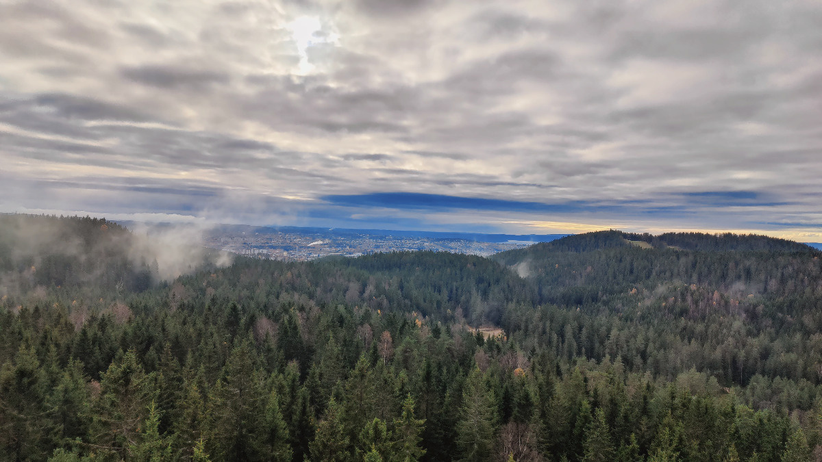 ea6878dd-7f8e-4648-84e6-b1082654ac48