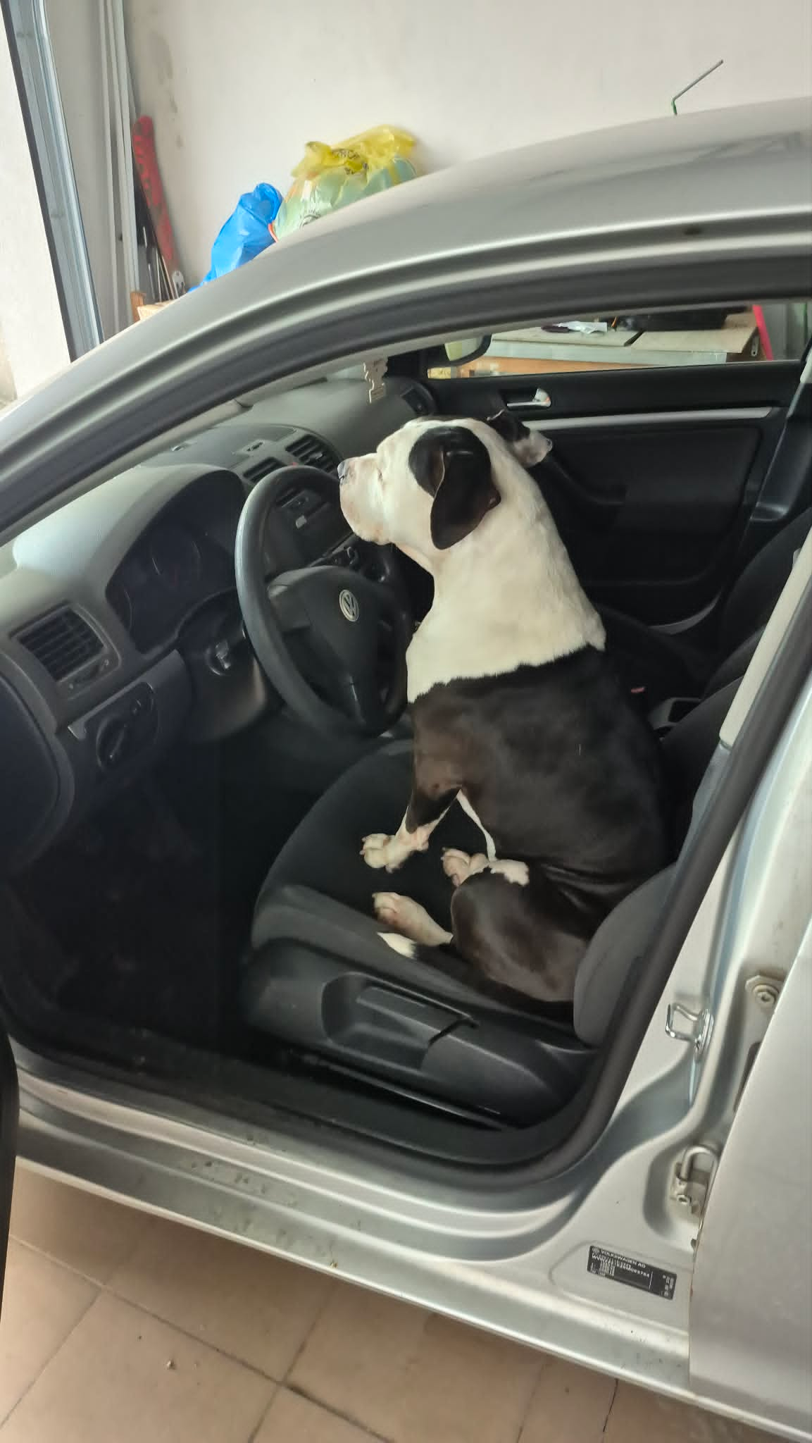 075d648e-f136-4193-b603-9064afab239e