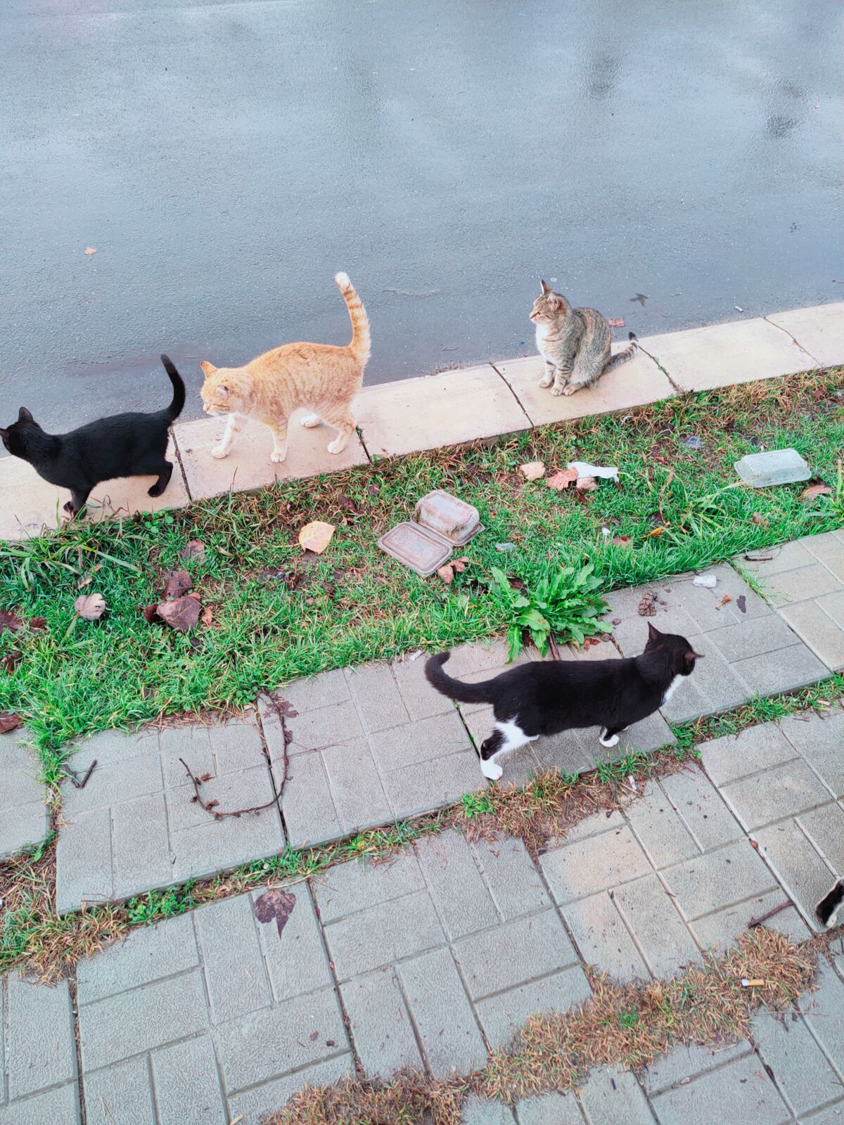 66c030a3-abeb-488c-9c69-fcd9b85d1d54