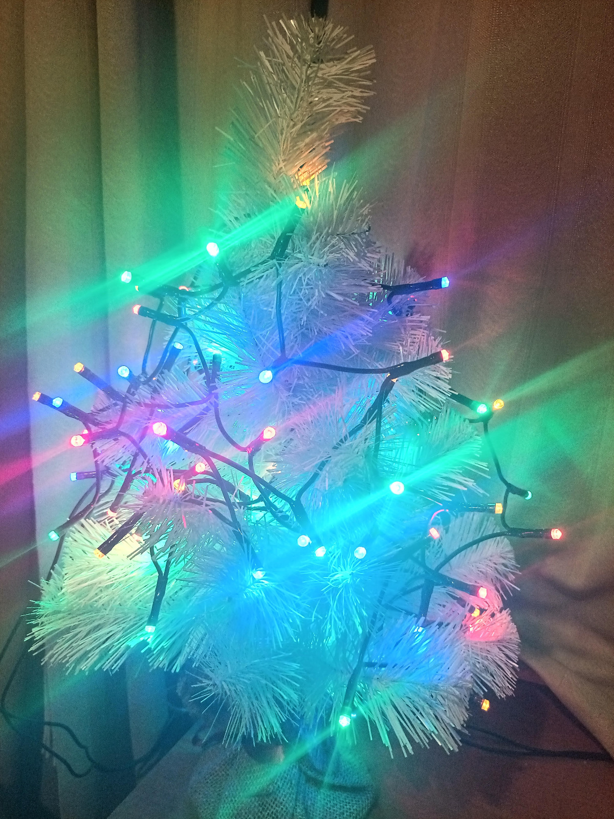 eebf332c-9b4e-4128-b98f-d5e8a40d0962