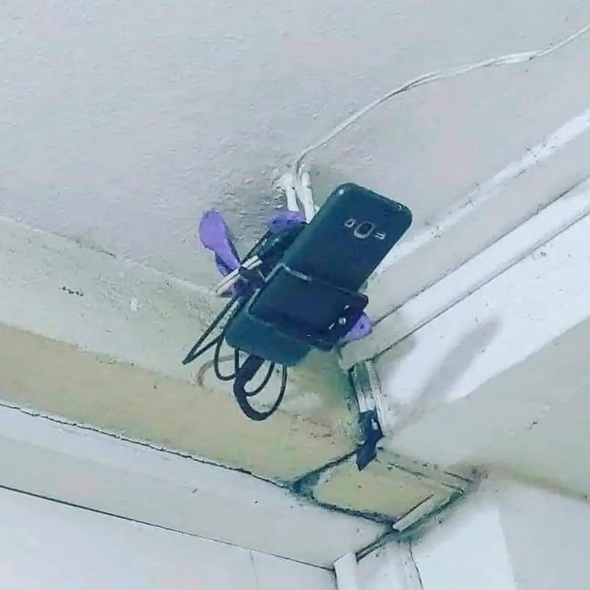 2d4ca9e8-3c0e-4321-8b73-9a7d0d37aa4b