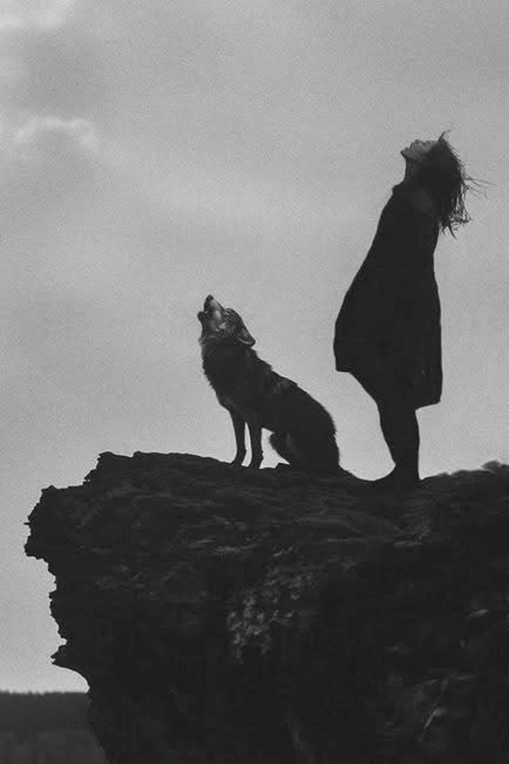 1dd7c864-43e1-4bd7-a271-8edc6d2554ae