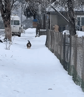 128cfee9-3dce-4763-b25c-dab44d6fae68