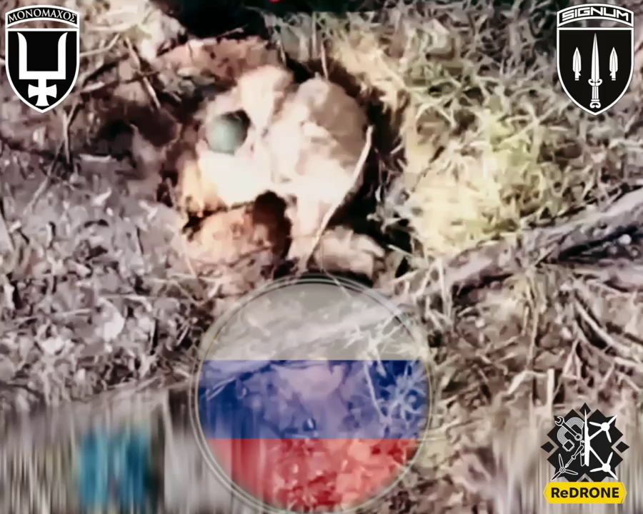 97f1ac43-cc61-4c3d-b16a-c27c804cf362