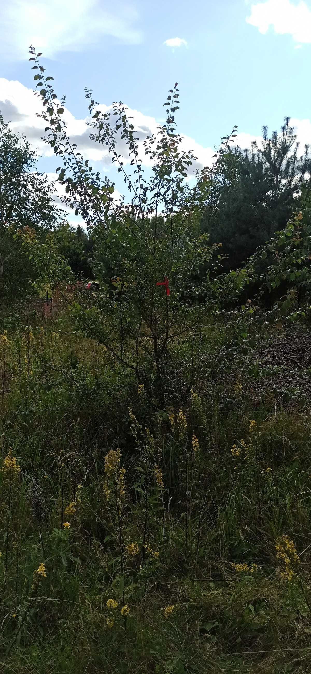 f7e5acf3-efcc-4fdb-ad40-baf1555a6077