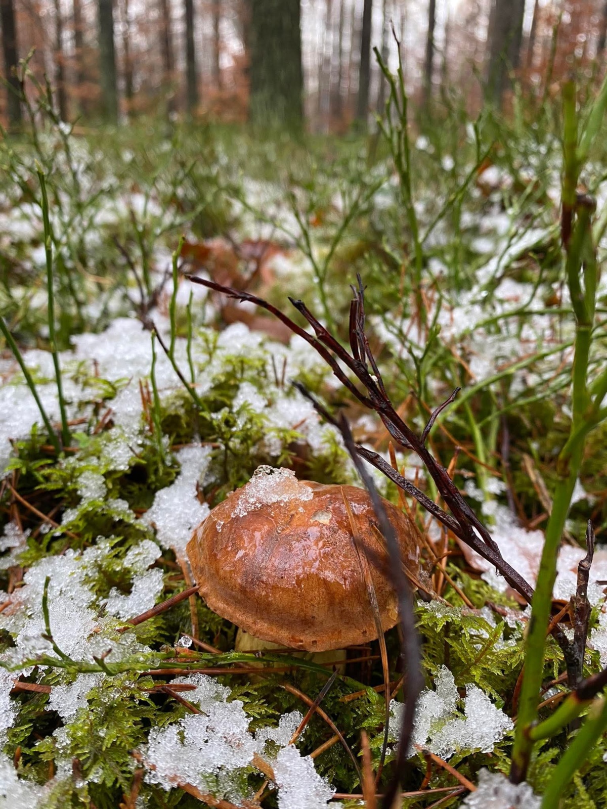 f4698f12-1404-44a1-94d7-6e057f1ed47d