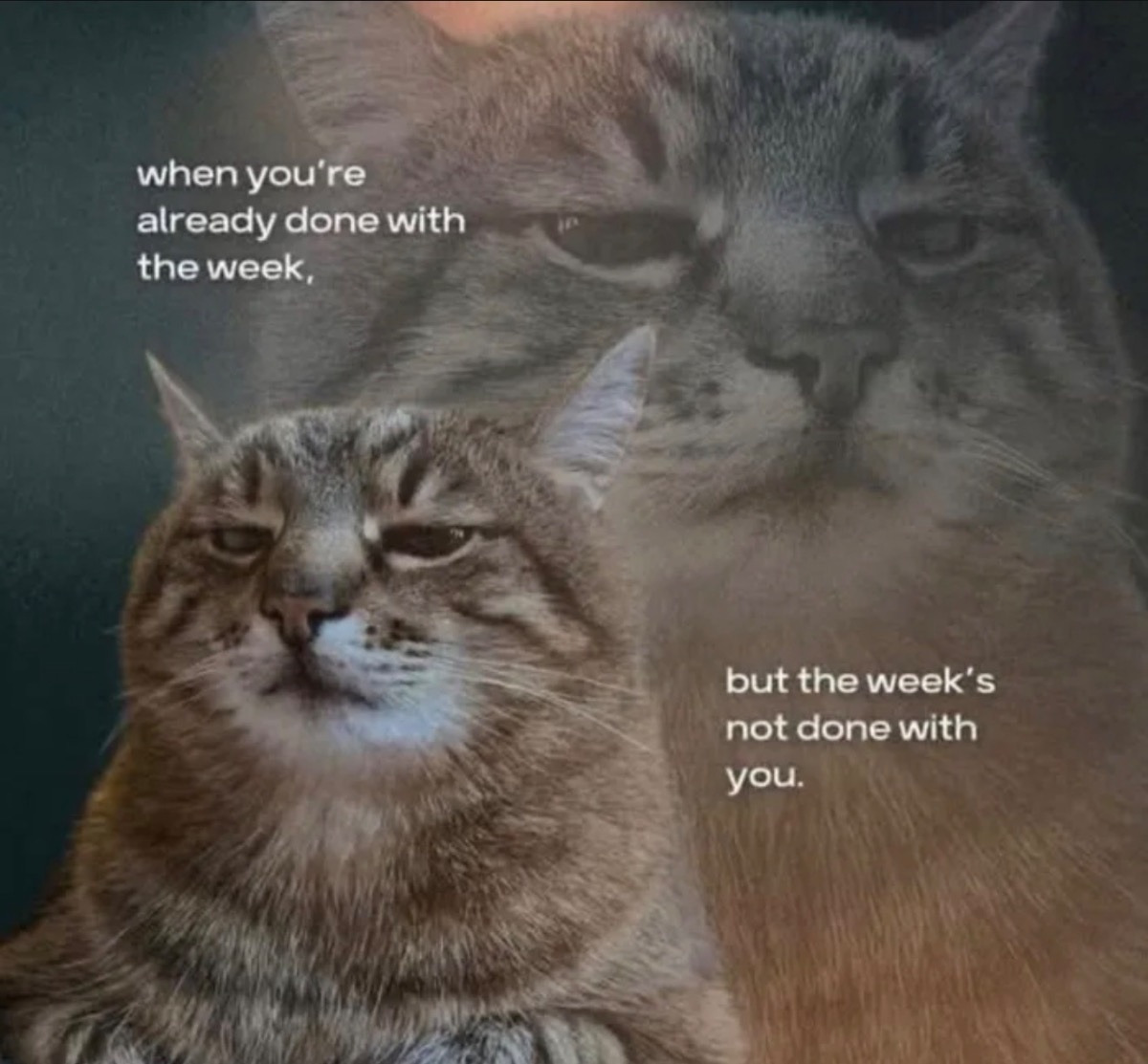 5d0196fb-c2df-4237-a198-df3c6dbadad6