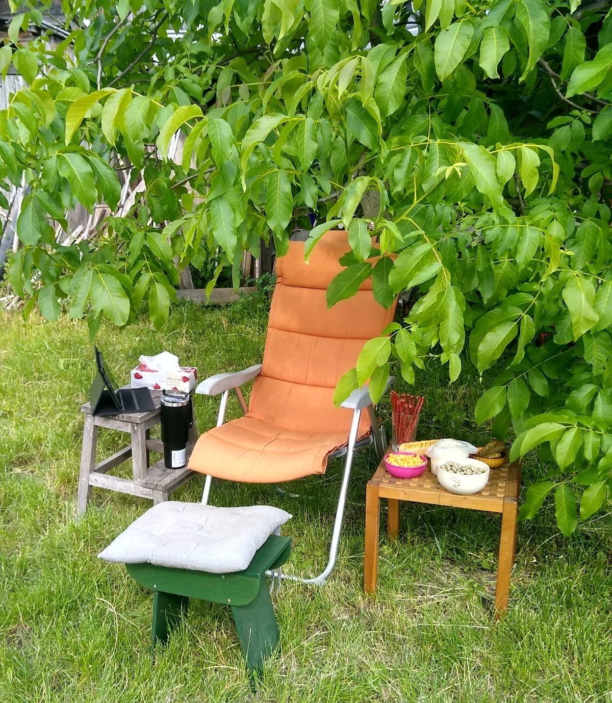 25055099-c3ec-4d9b-90ea-b39540586901