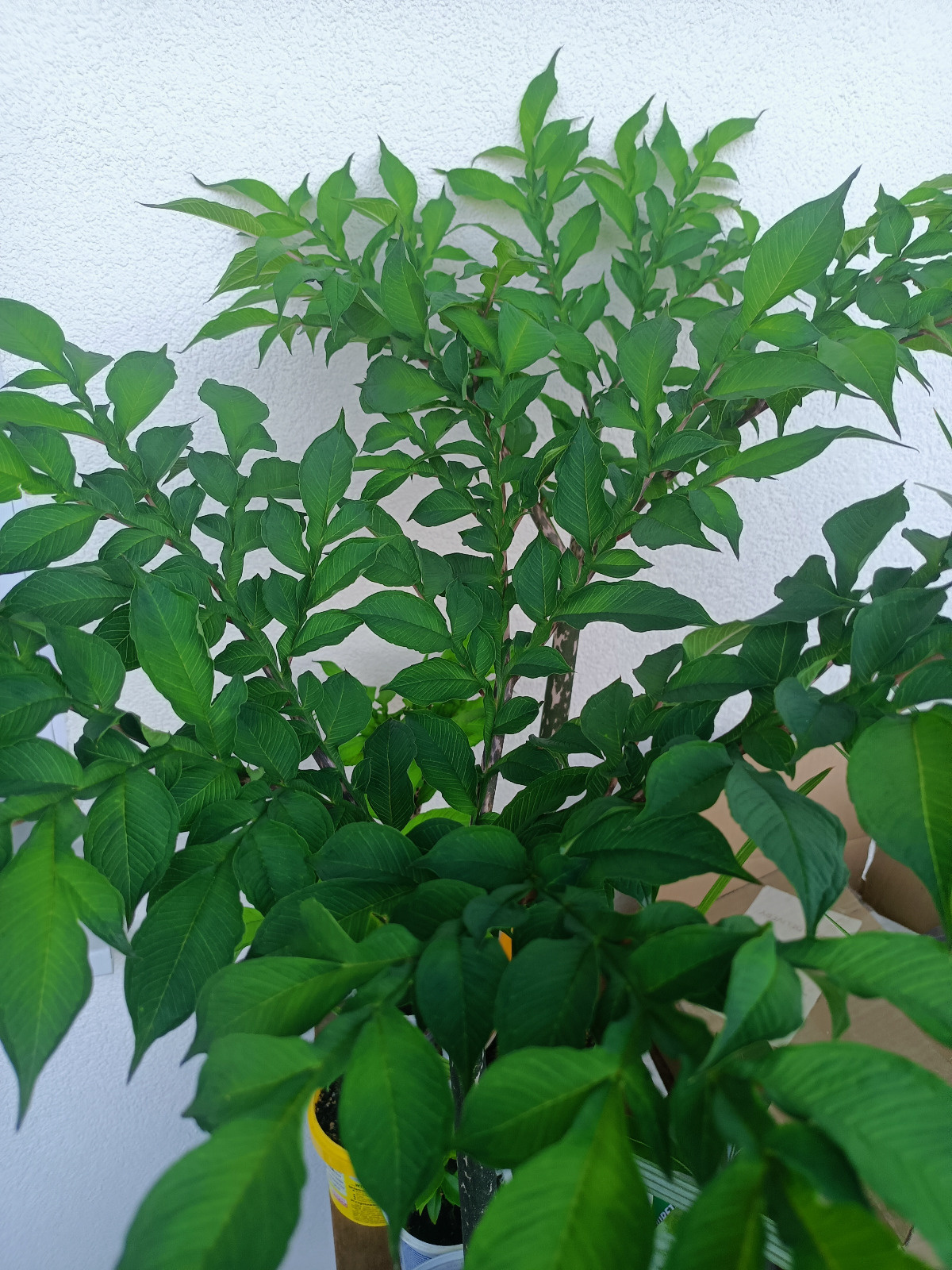 4b5f8bfe-4e49-47b4-a04a-148c5ad1738a