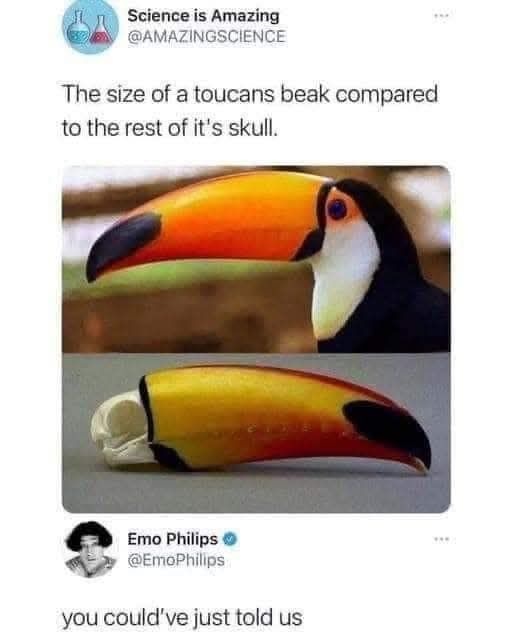 49a95833-61d7-4016-a77a-66752a6a5119