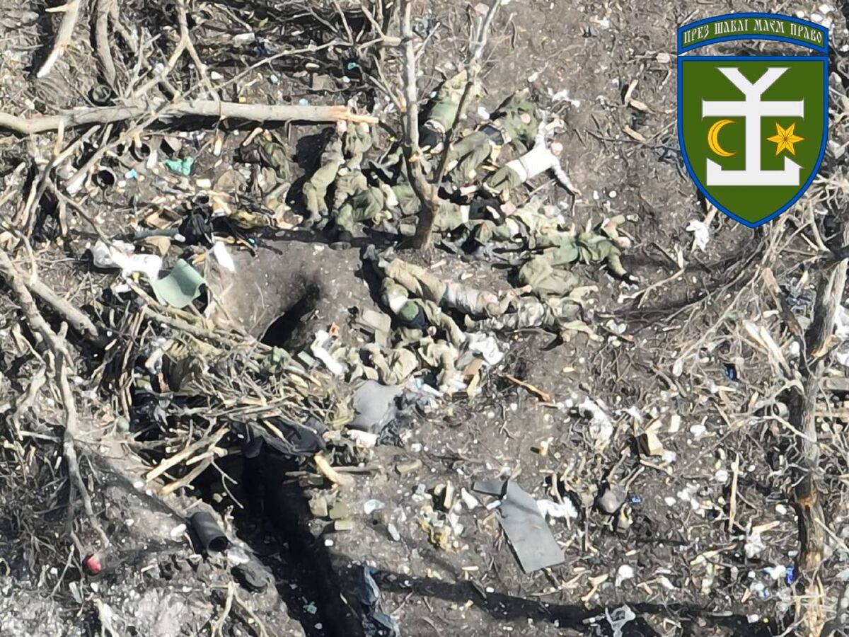 8568d130-f71a-4957-a93d-df1b0366f26d