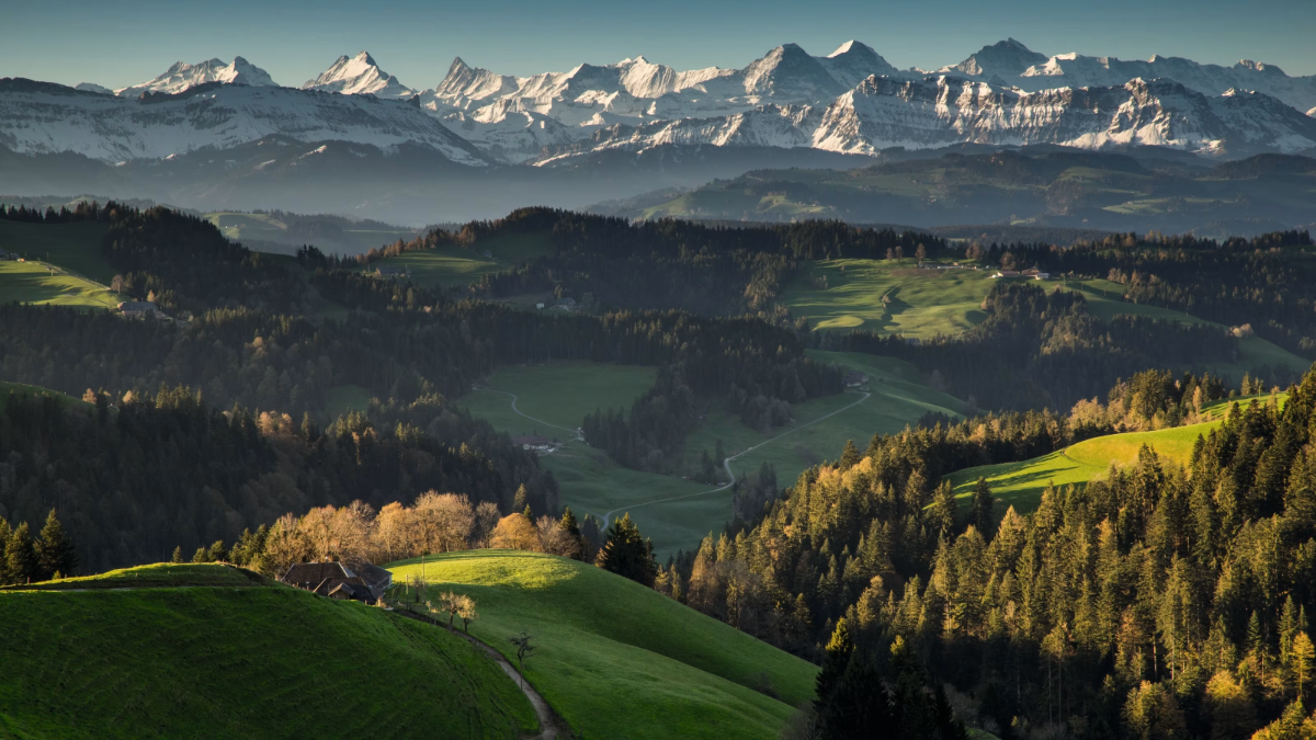 394490c6-d015-441b-ba13-275cb6442524