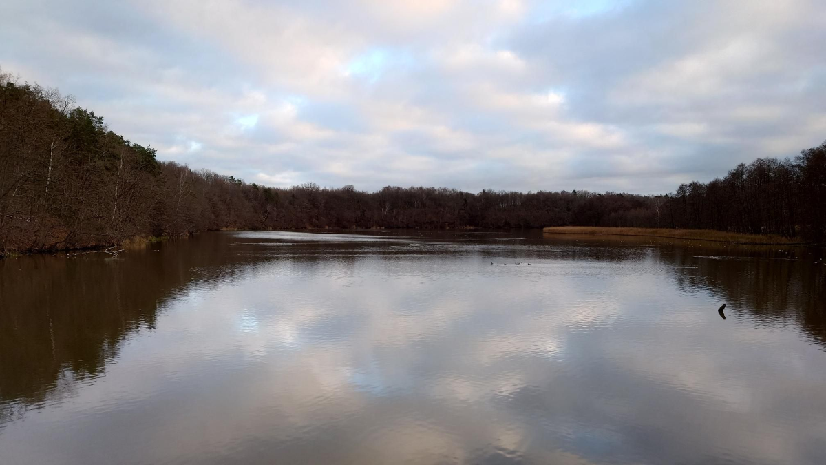 cee730d8-38ce-4542-86d6-b6de2775f768