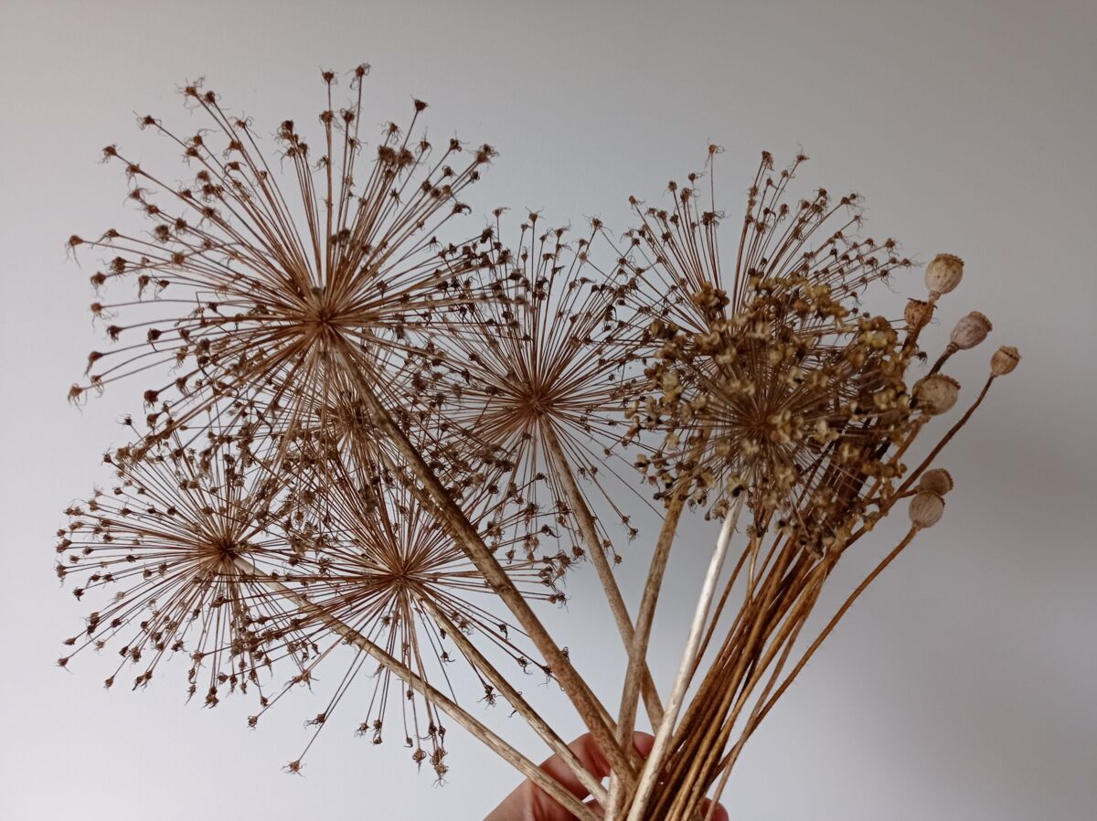 40444331-d95a-4c27-9d67-1d3fb50e2686