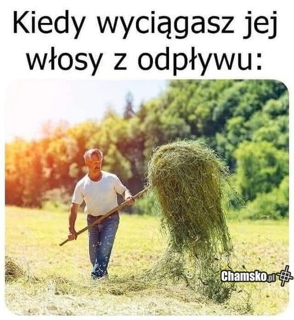 338a6f4b-4753-4e05-94d9-ac790425e83d