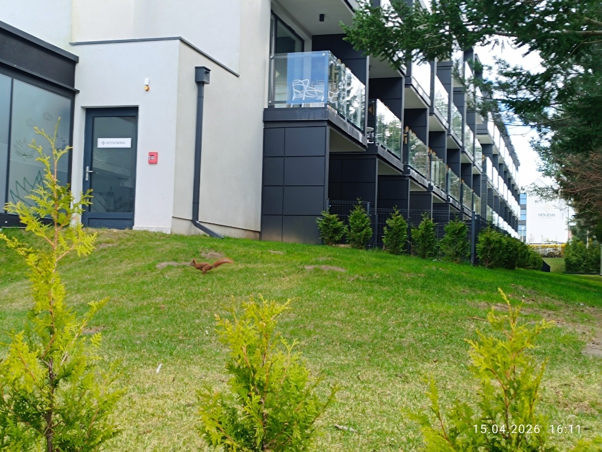 5d34cba3-53f8-4f13-9ae4-df212de63d90