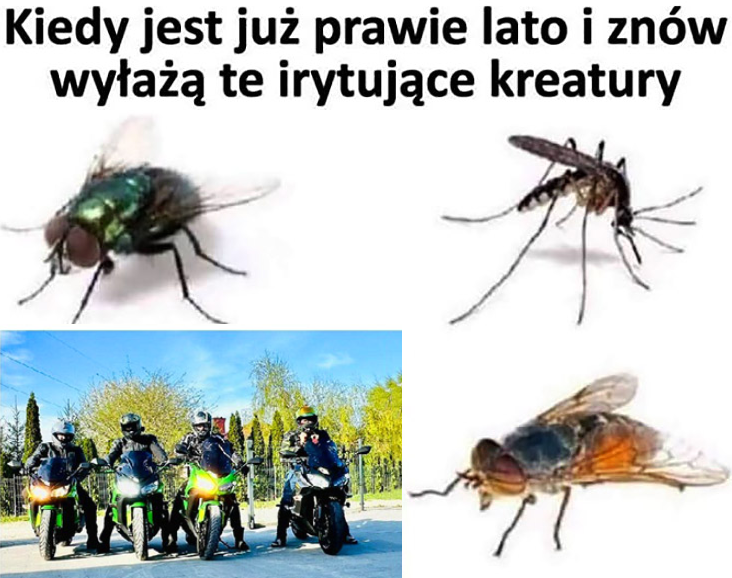 9a75c5d3-e745-4e28-b674-a1968e938c4f