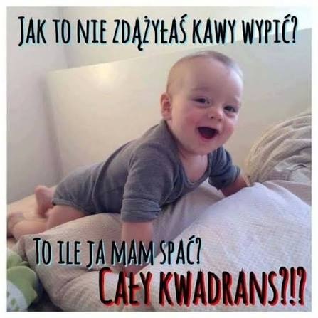 34a993f6-d90a-445d-86a0-7a0e794fa943