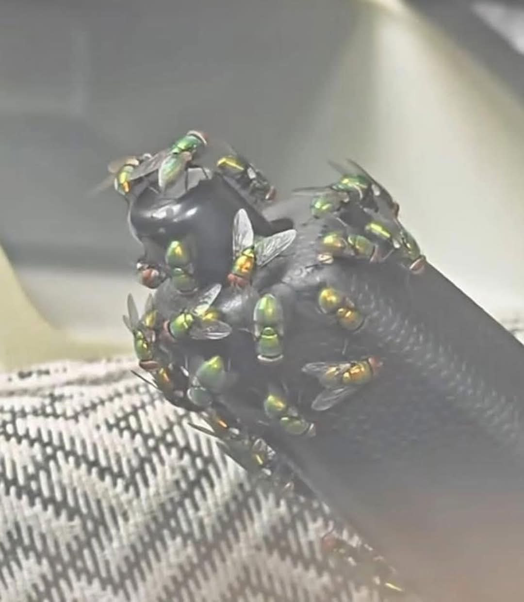 502f8005-dcb2-4ad8-b4d0-3798df0e3c27