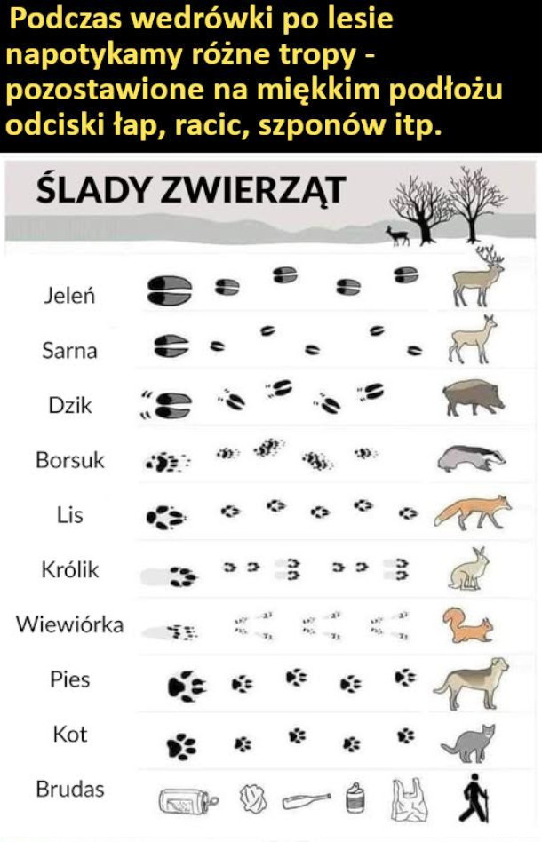 67977c6f-6f31-4ba5-8693-2b34a96aafd3