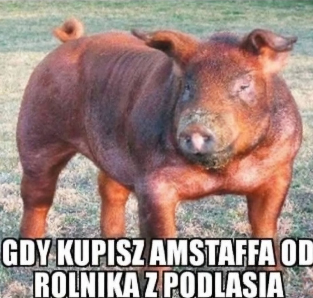 8f578e1b-7dc8-4735-b0a9-0cb127af14d5