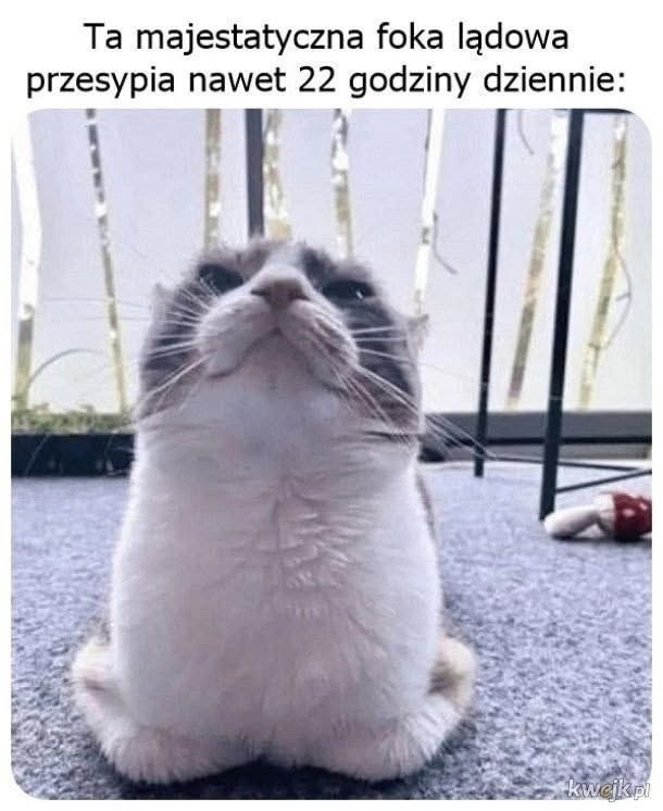 02fb0d58-9bb2-4d08-a683-86f3d8046581