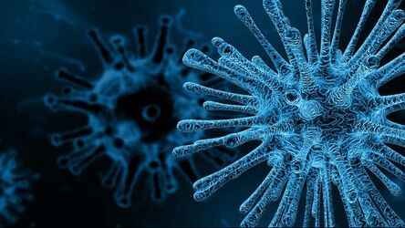 Badania pokazują, że 25 tysięcy lat temu też walczyliśmy z pandemią koronawirusa