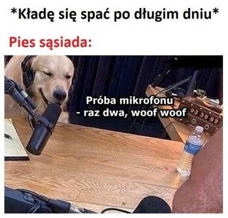 5dc36da8-8de7-4a7d-a714-afab86991594