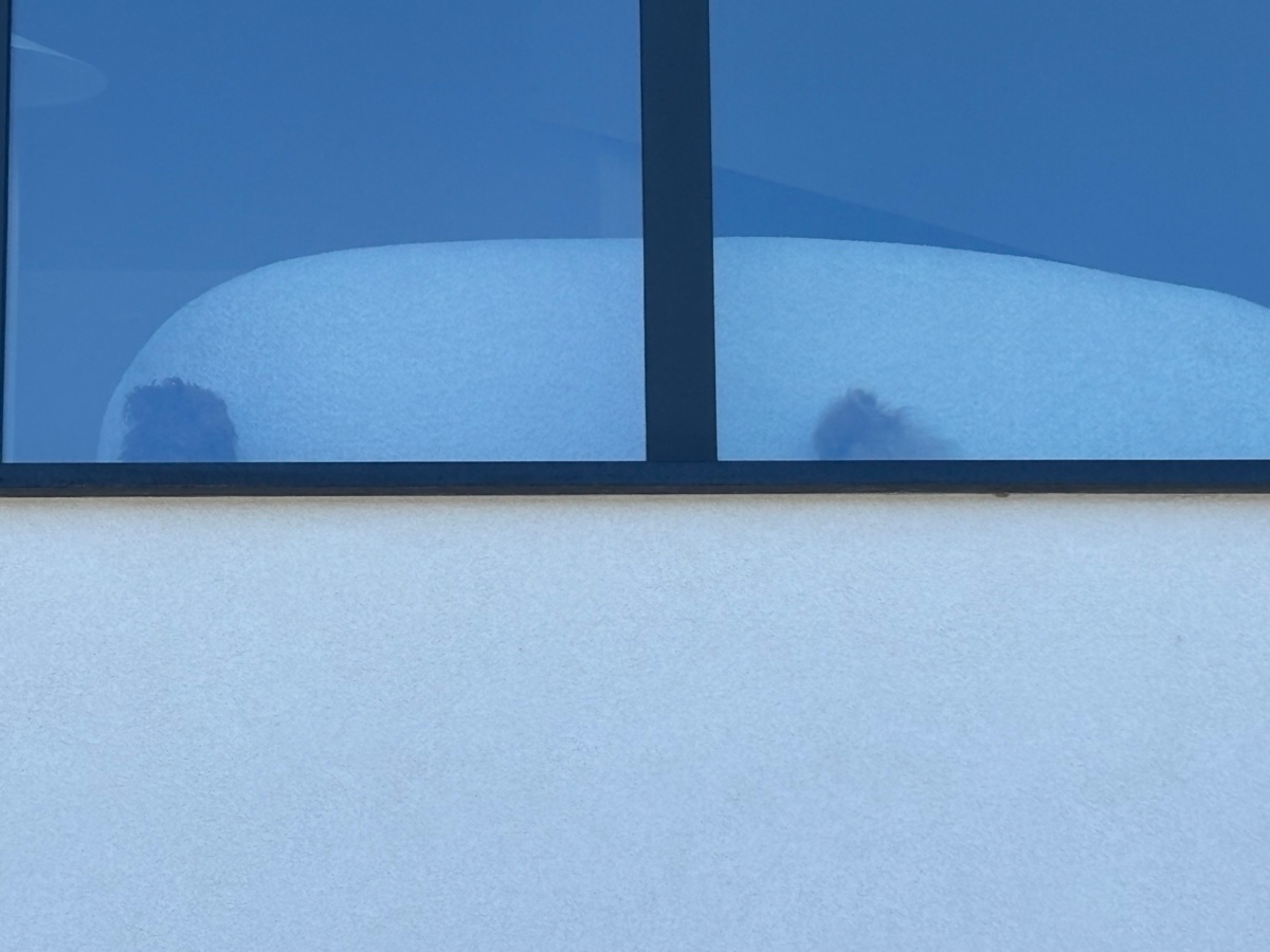 a608dd97-7d1f-4944-9fec-78493054d1ac