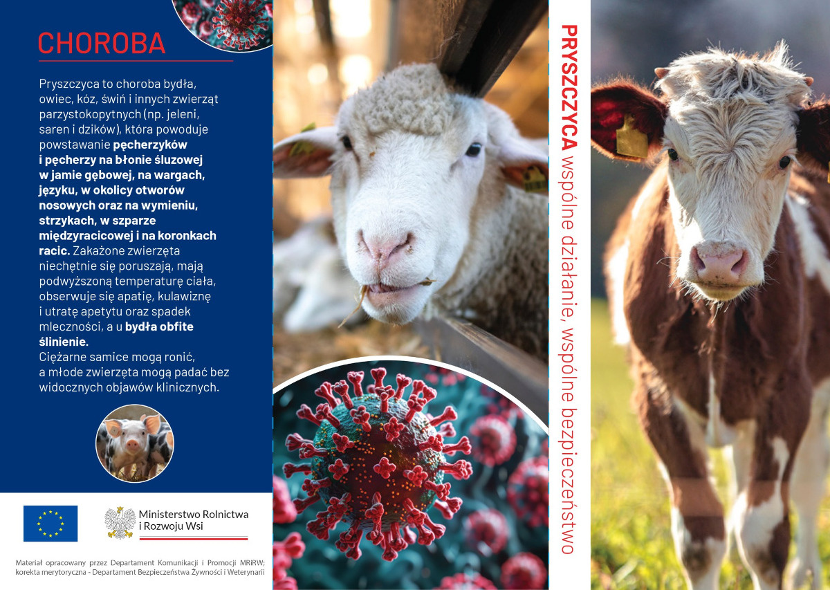 cea884dc-dd45-49cd-9c7a-2166cc6dbf34