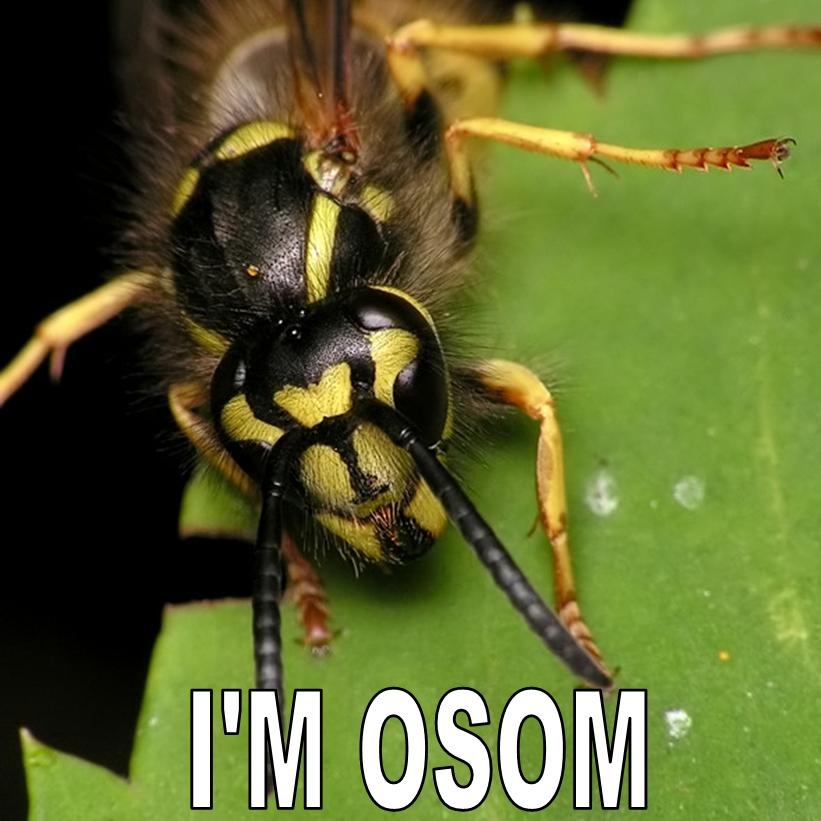 0a5e7cd2-027e-474d-a473-f16cbd34facd