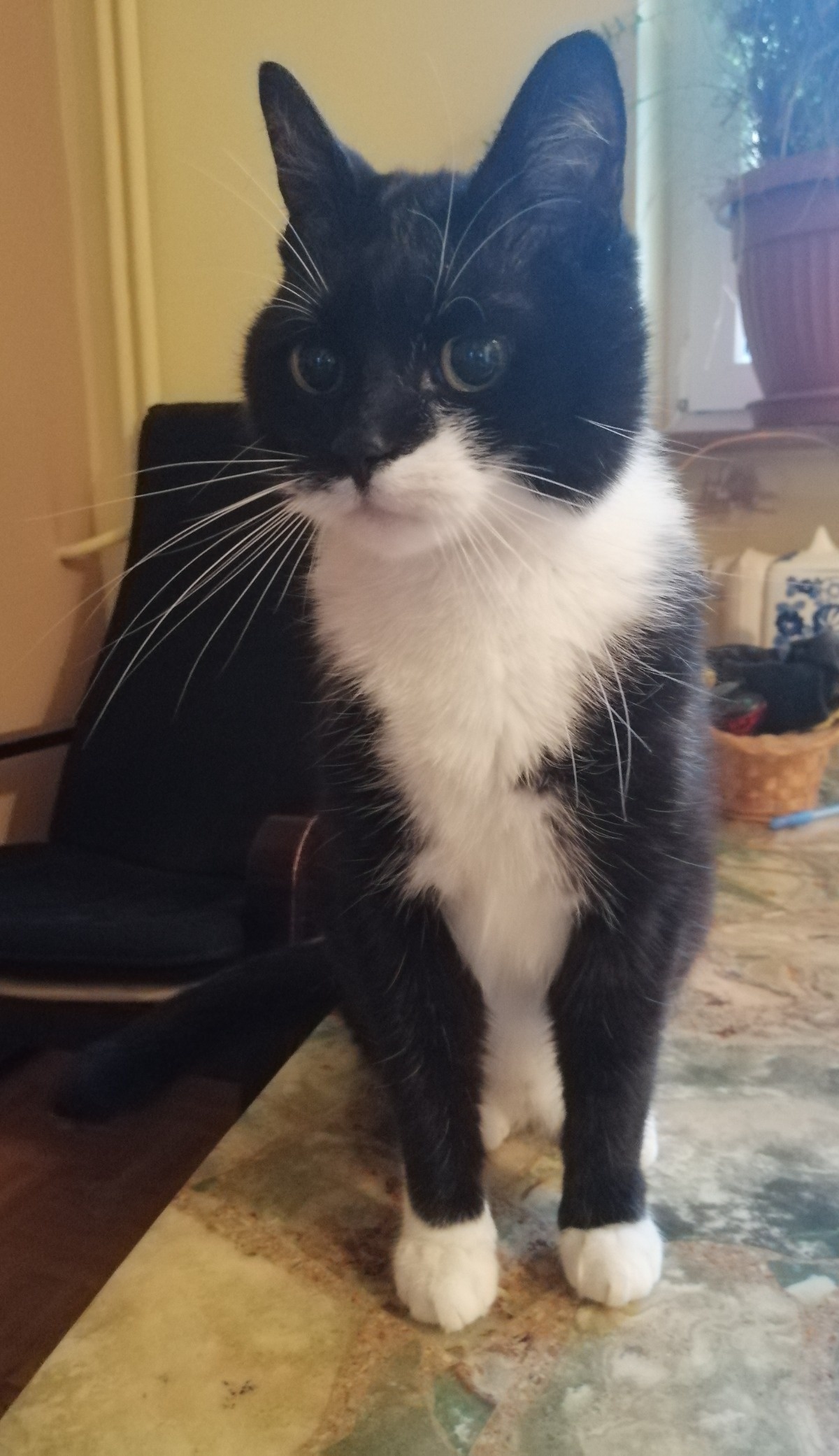 c74d3de8-bd4e-448b-a2f6-458dcbccb153