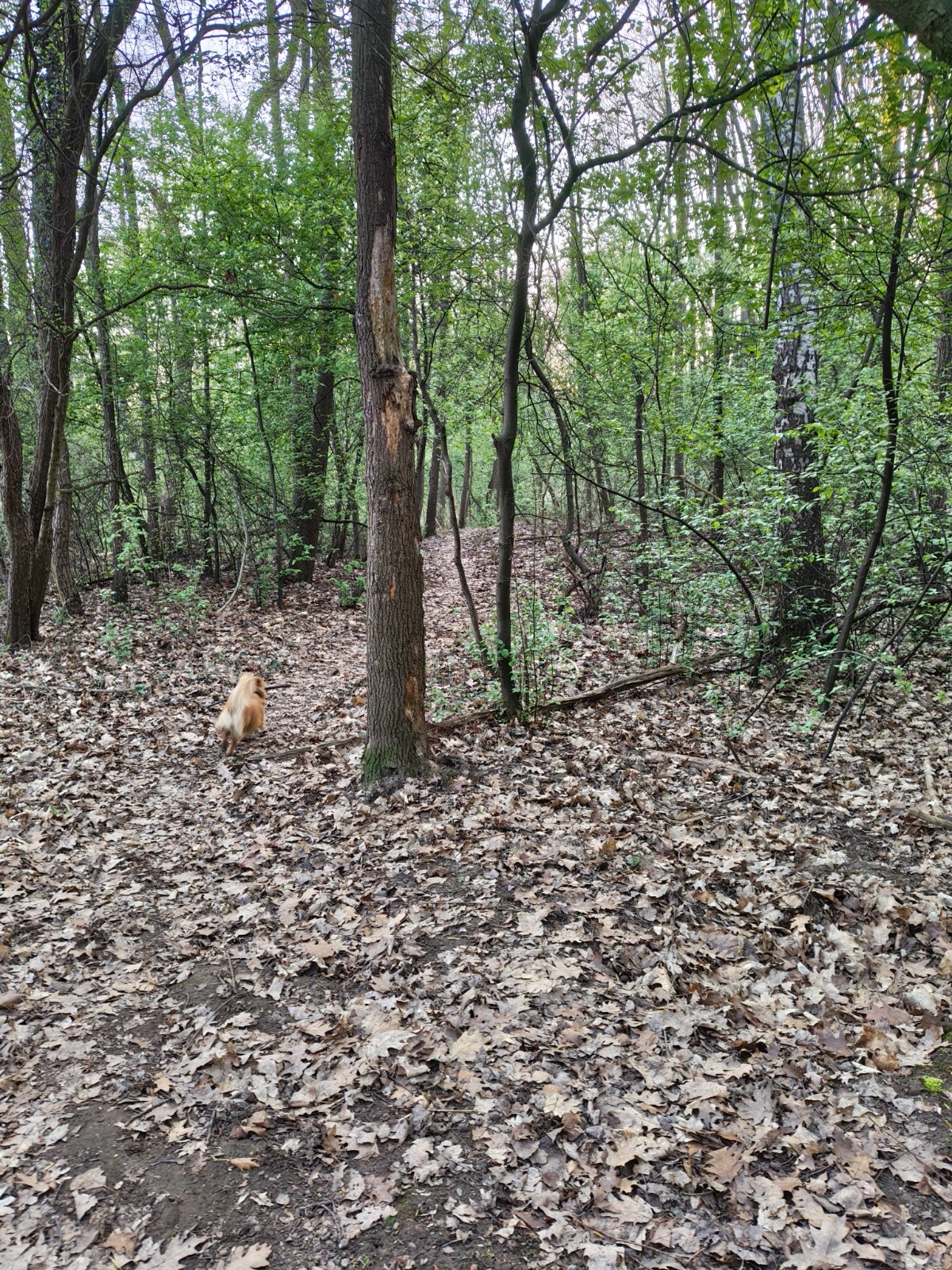 404a759a-1084-4dfa-8648-3de2553a1292