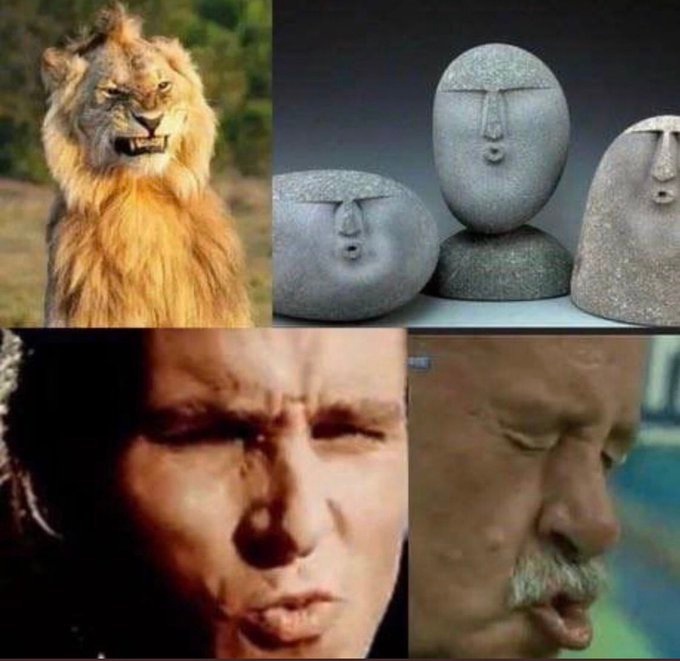 Zakupy z Korei za miliardy i tajemnicza spółka. Jest śledztwo, badają faktury