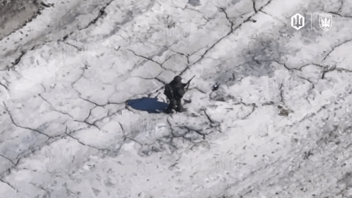 95e58c4a-47ae-4534-86d5-fcdbef69ffad