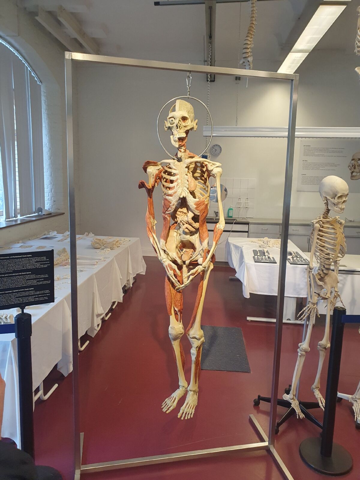 f695993e-9355-43ba-ad83-1a8c54bdde50