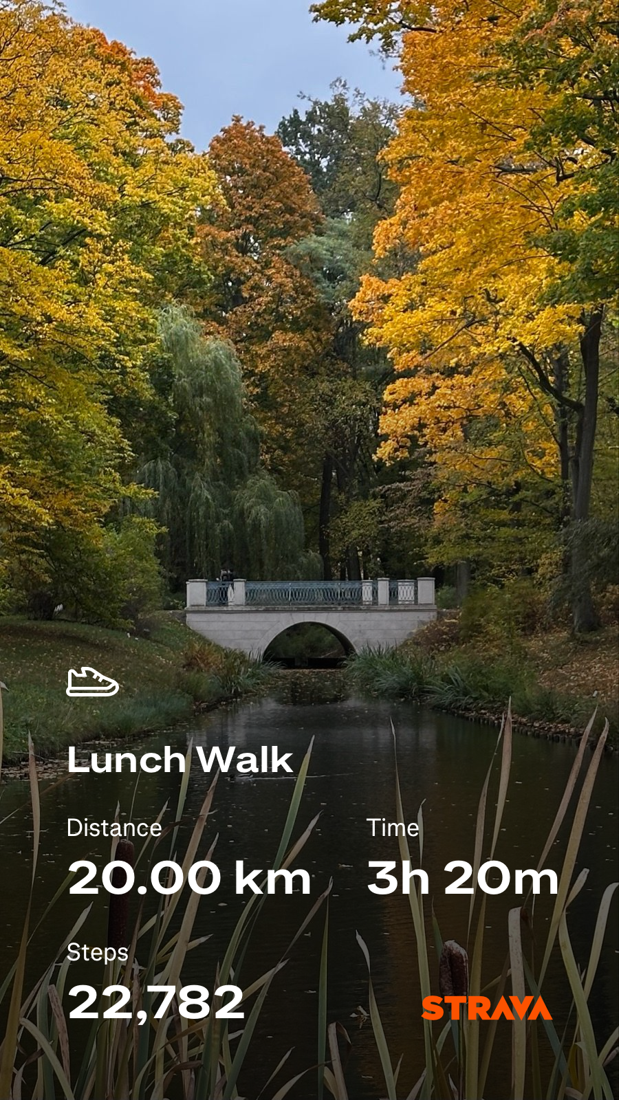 ef76b271-1745-4e3d-9d77-5e0165acbff3