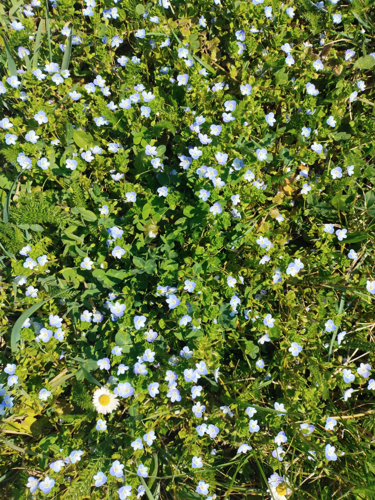 ba1cb653-3f0e-4936-b3d8-a154d04a5015