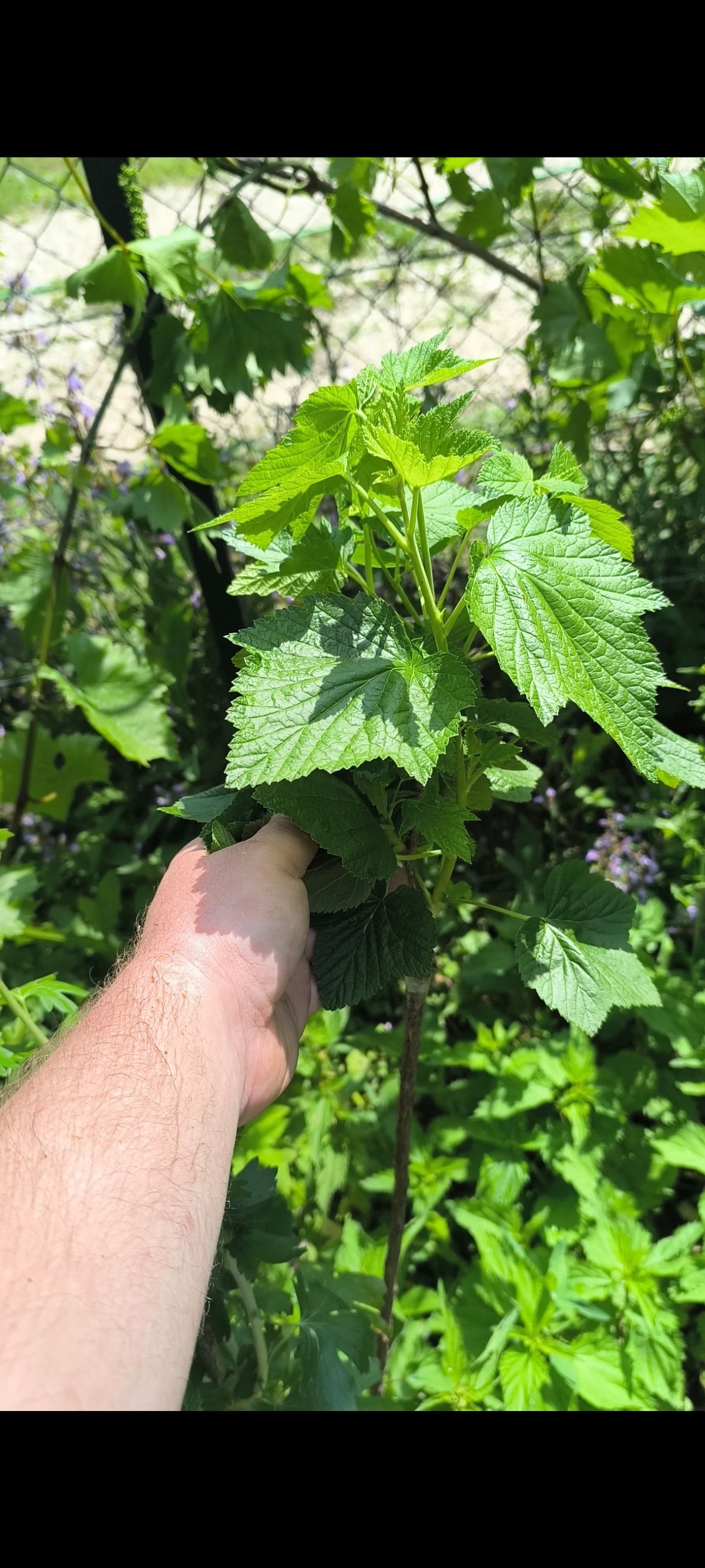 6cf511ce-77f0-4136-9080-7f9af62ca991