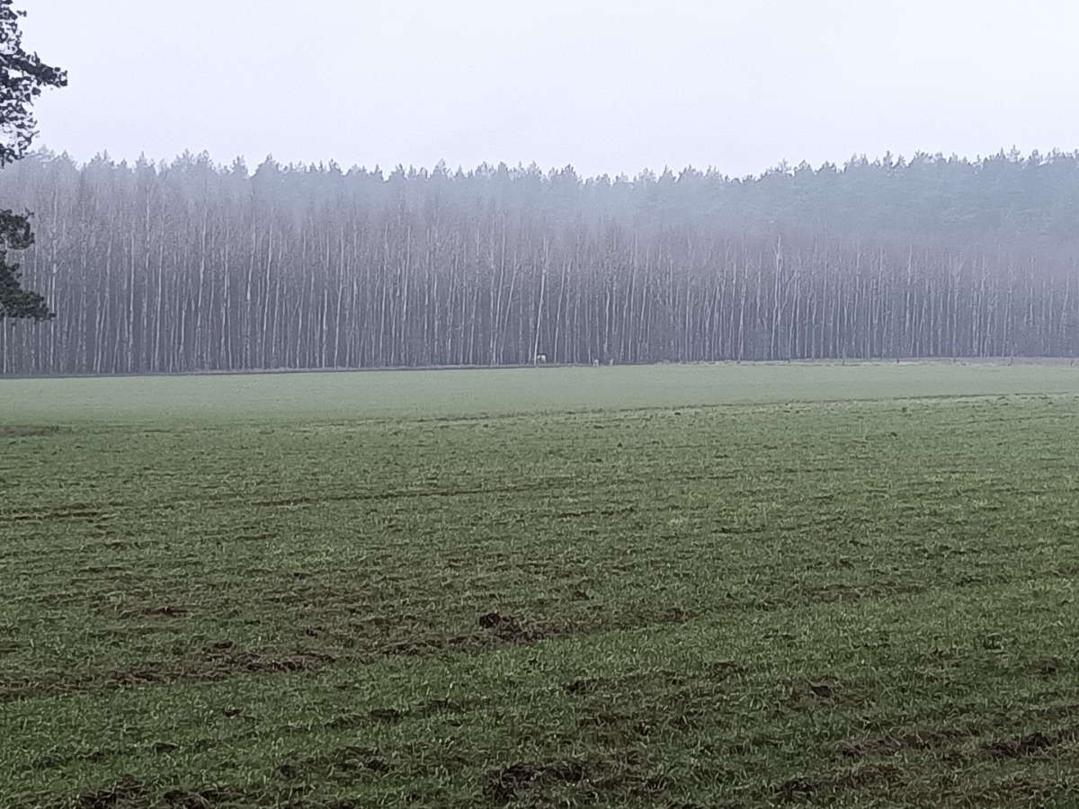 8d80b6bf-c961-4d65-a878-fff44a6042c9