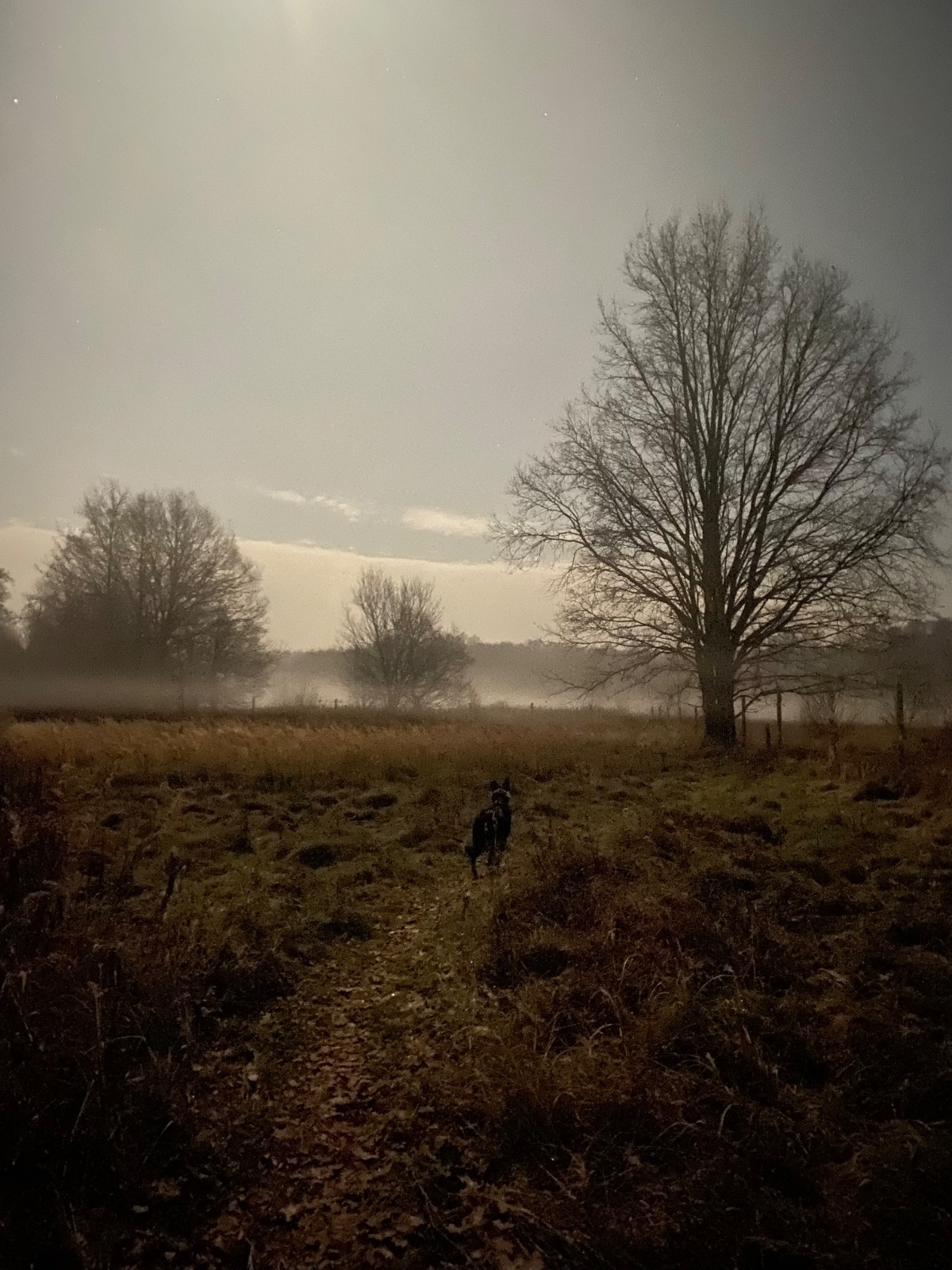 ed97b04c-131b-43ea-8cac-75e1af1efee9