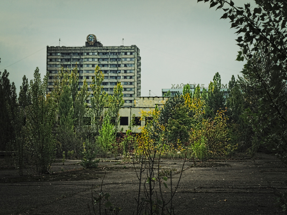_Y068110 (Large).jpg