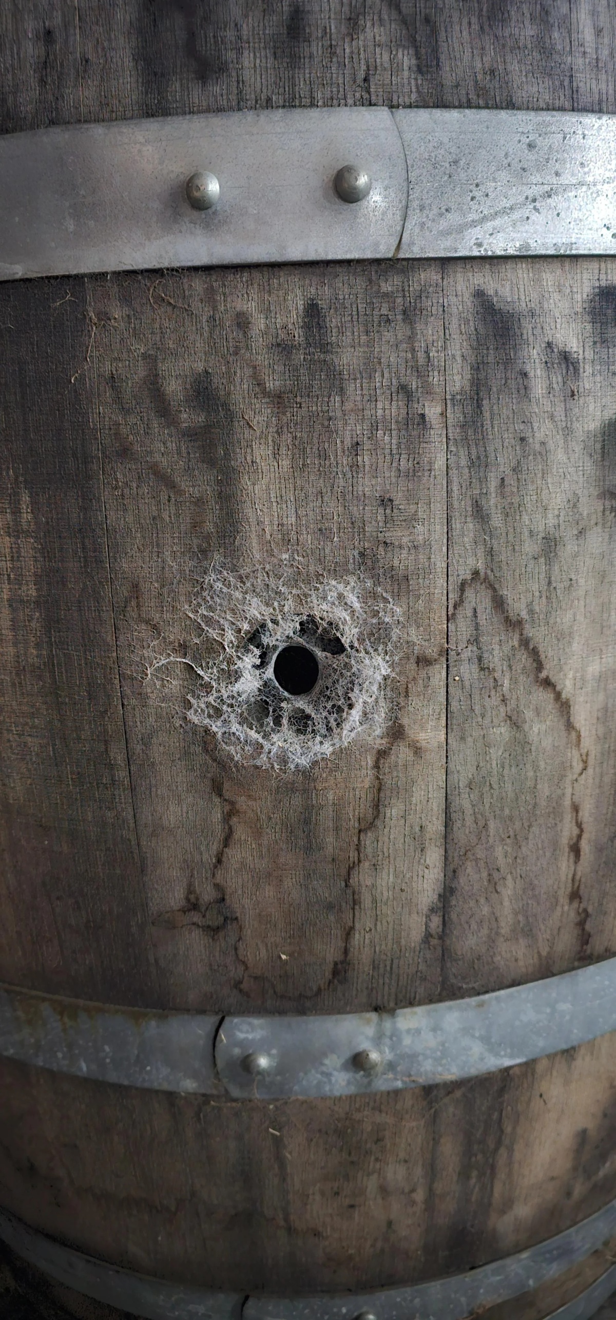 4776285b-1f07-4024-8d2b-f2ff5b8d6787