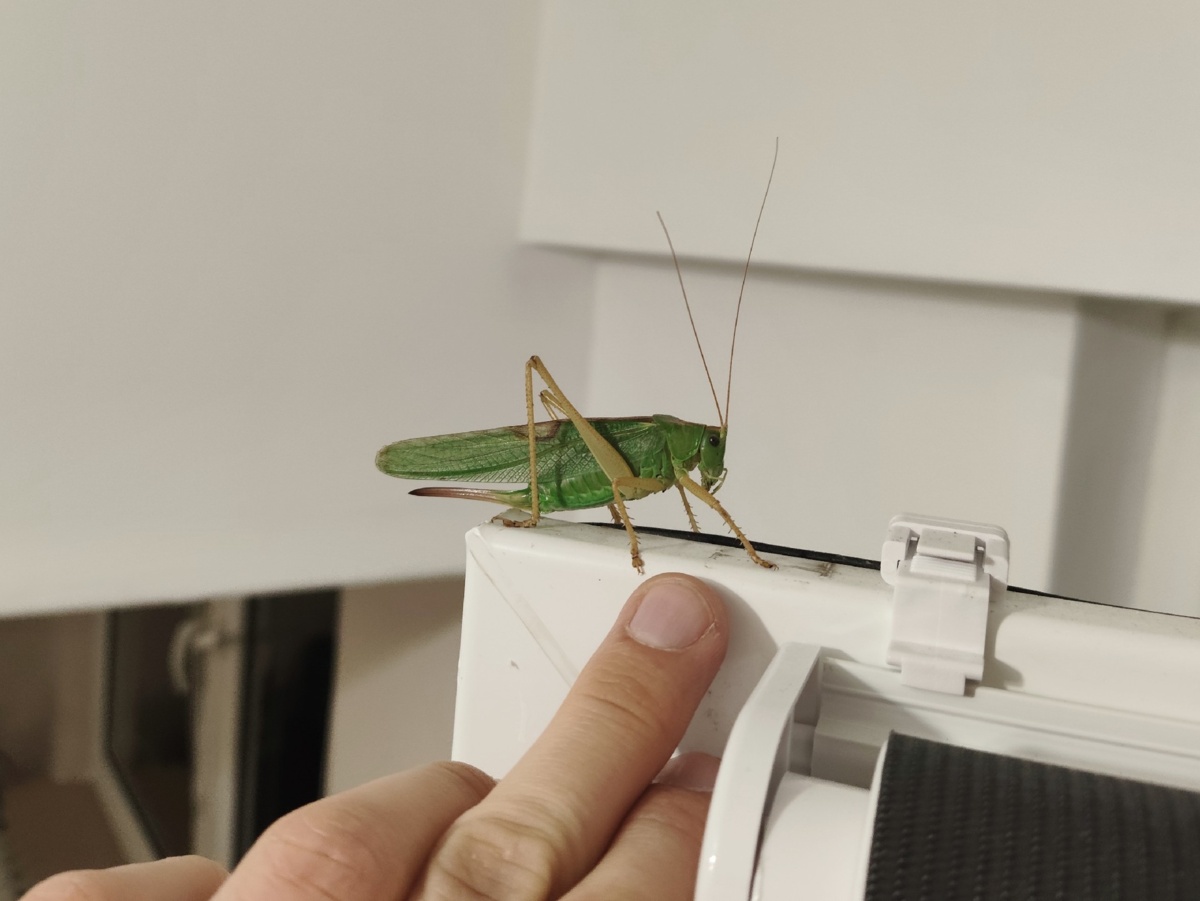 d5273a69-3b6a-4b20-8062-e5cd95979465