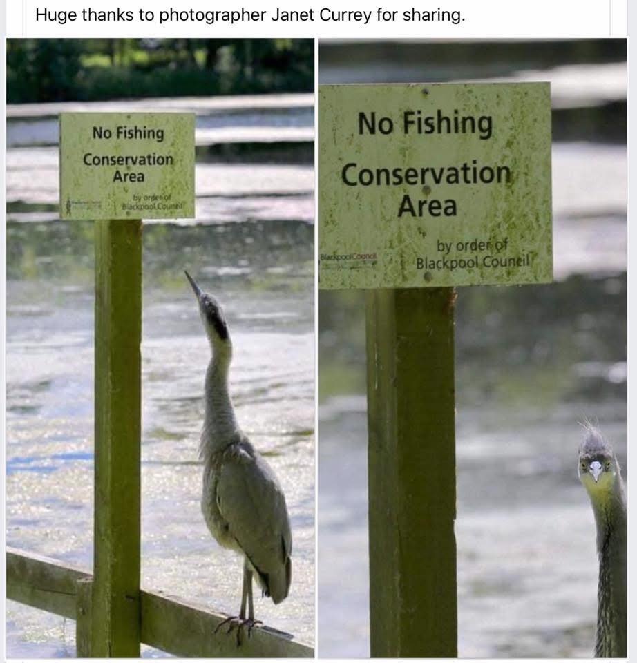 4dc6ed53-cc4a-4585-8464-dfb39ce02dcc