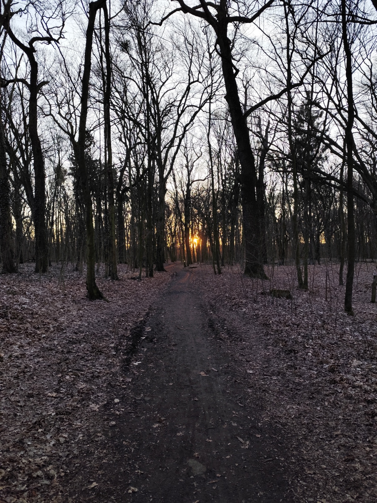 ea8729c4-8f15-456f-be42-9cbda86c5059