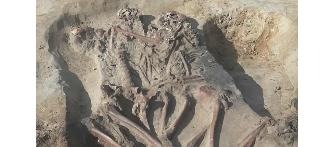 Kujawsko-pomorskie/ Zbiorowy pochówek sprzed tysięcy lat odkryto podczas budowy gazociągu