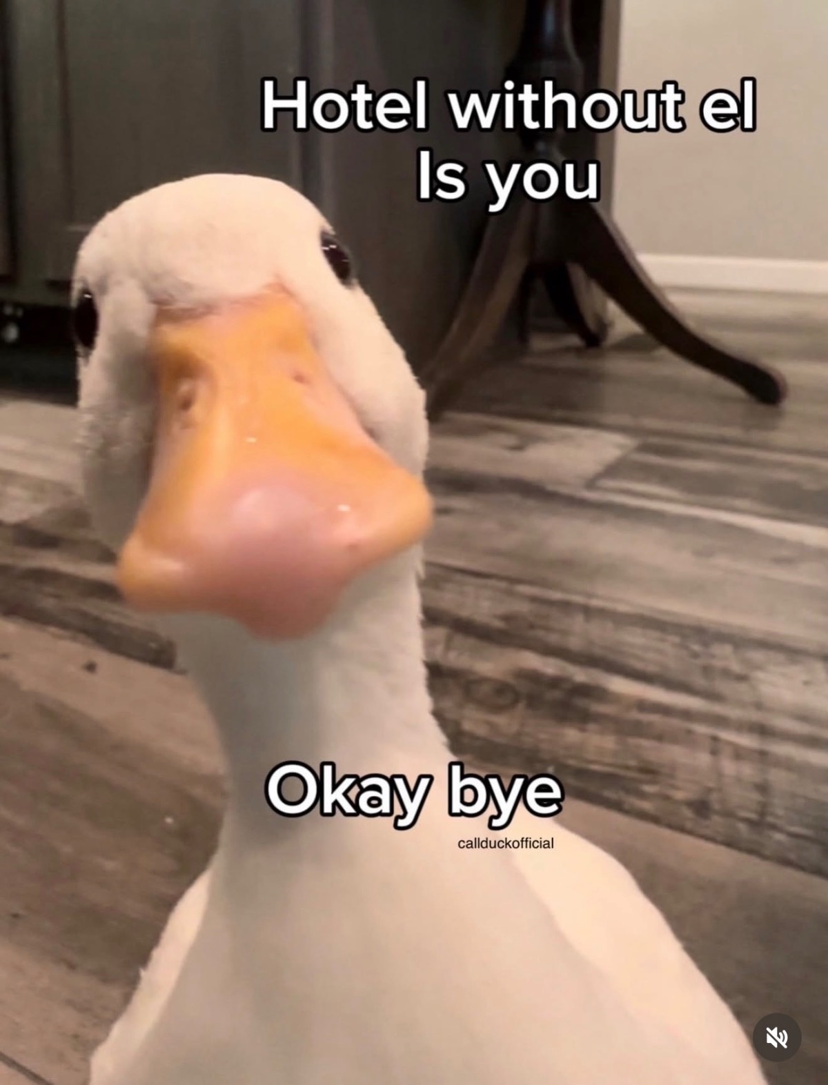 bd5d45a3-b274-41c5-a0f5-0ae76638d555