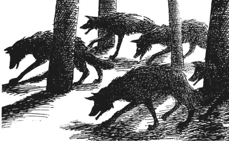 1158577d-7130-44d1-91b6-72c1873b9e0d