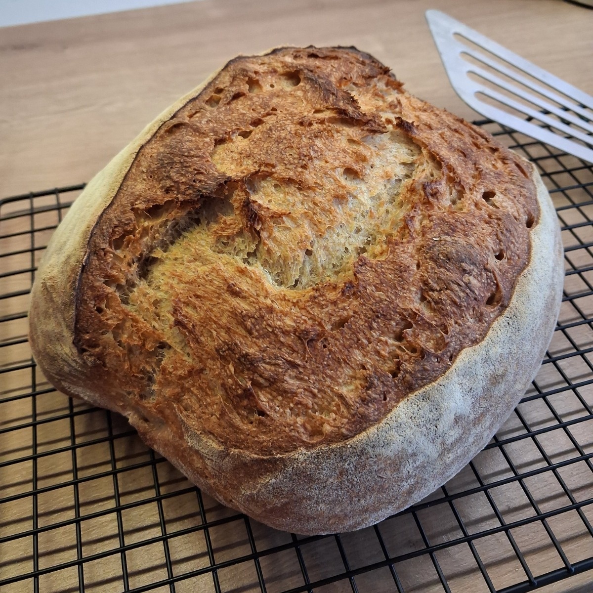 202fa796-6f6b-46d8-bf8c-2fc397cea1fa